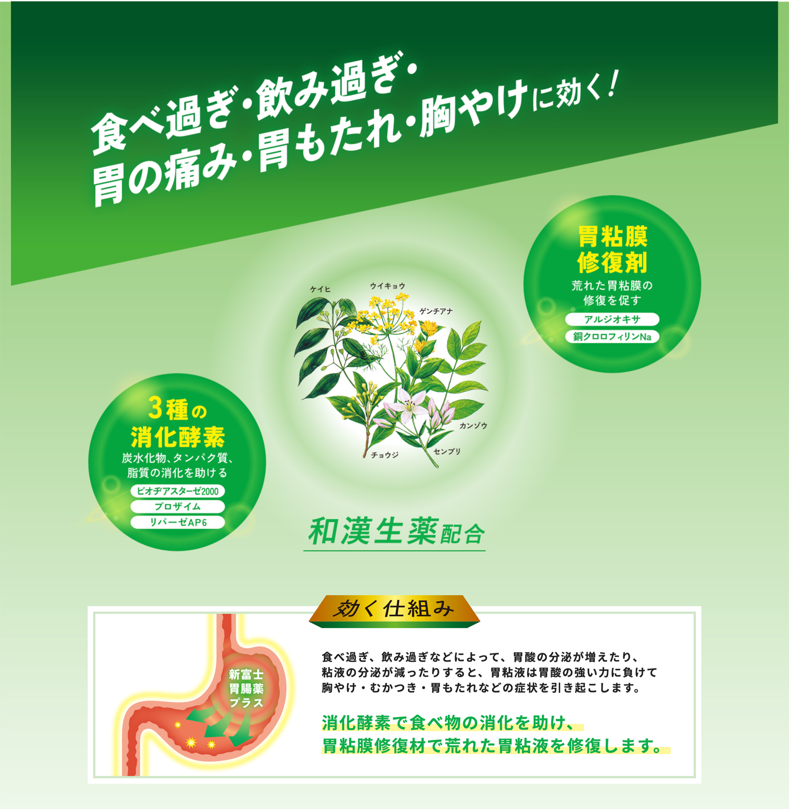 富士薬品 NMN 富士薬品SEISHIN MNM PREMIUM 2個セット 【公式通販】