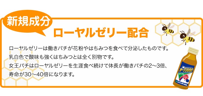 82%OFF!】 カーク3000ロイヤル 2022 100mL×１0本 富士薬品 ads.ito-work.com