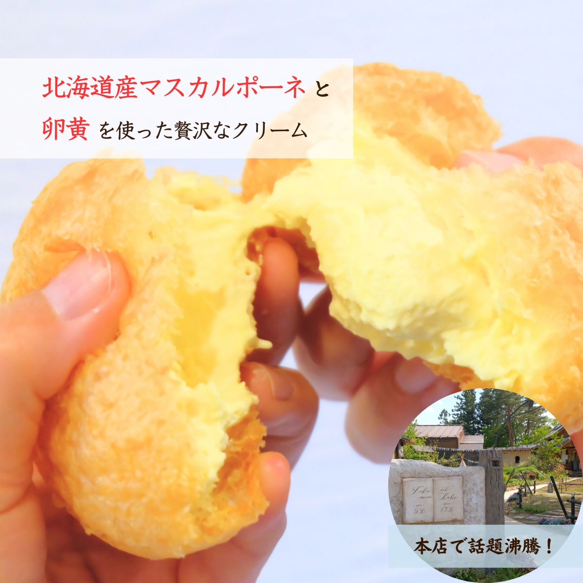 チーズケーキ工房風花