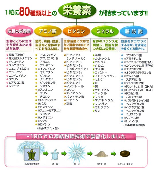 詰替え 健養泉 120粒 凍結粉砕商品 日本製 スッポン 必須アミノ酸