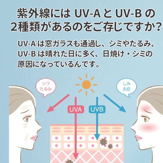 セラピエル紫根UVクリーム（35g） 化粧品 SPF50+ PA++++ UV耐水性 加賀