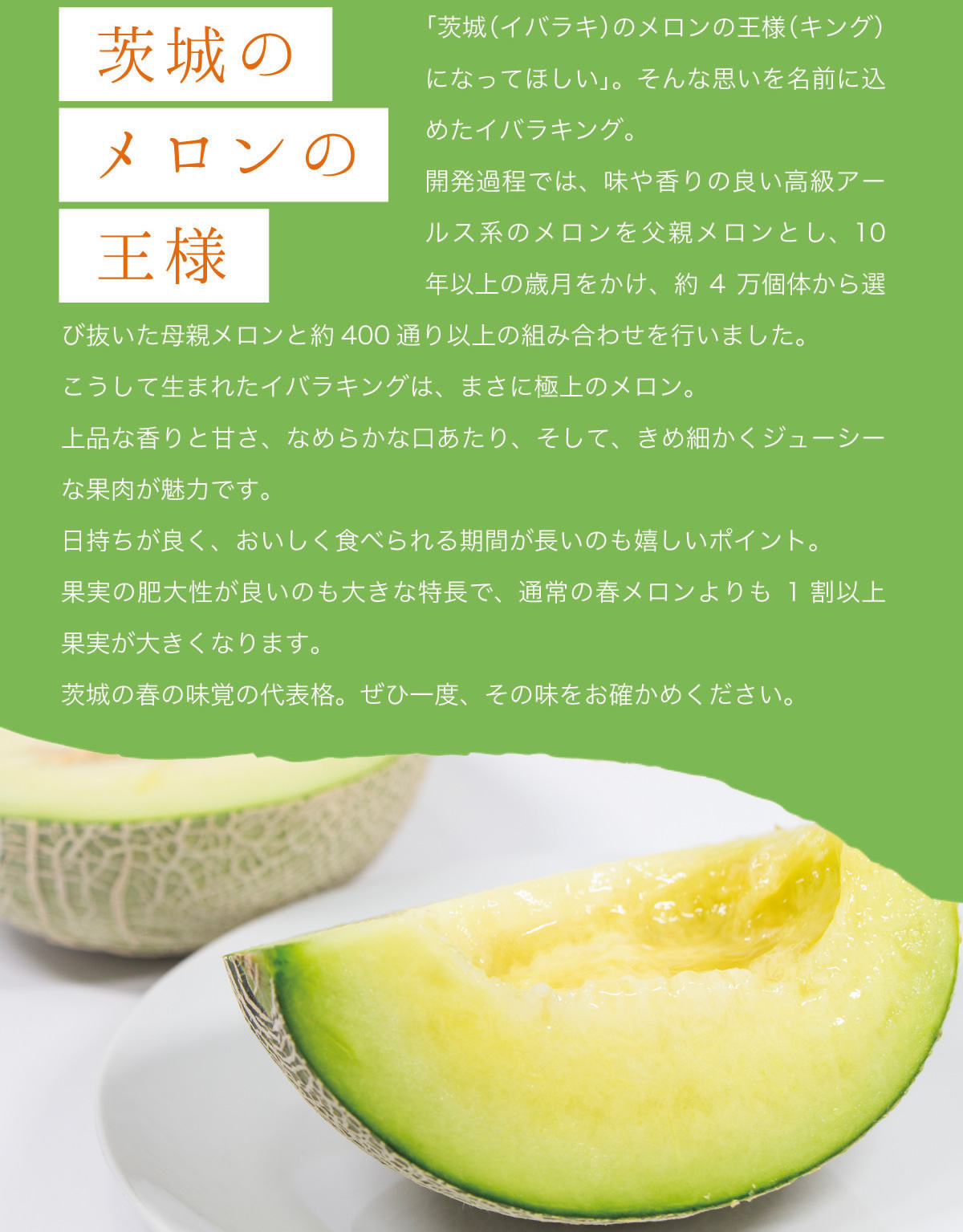 メロン 果物 茨城県産 イバラキング 約5kg（3〜5玉） :melon-ik5kg:深作農園 Yahoo!店 - 通販 - Yahoo!ショッピング