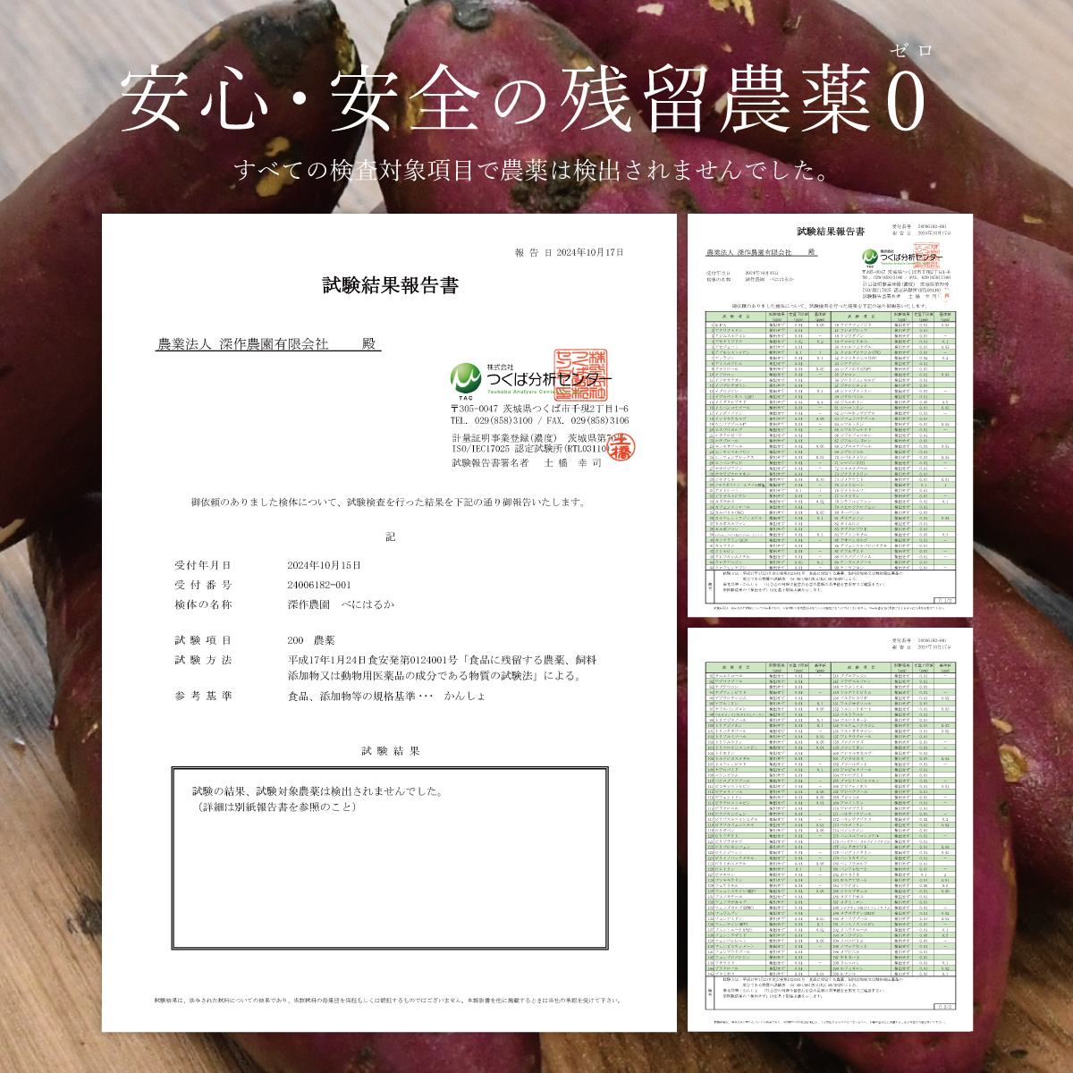 干し芋 ほしいも 角切り スティックタイプ 茨城 紅はるか 国産