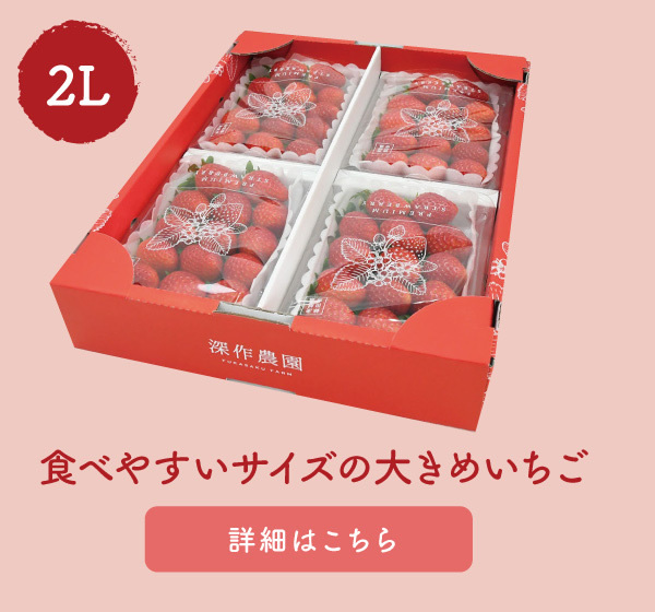 いちご イチゴ 苺 果物 ギフト 旬 フルーツ キングベリー デラックス 