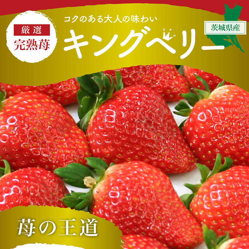 いちご イチゴ 苺 果物 ギフト 旬 フルーツ キングベリー 2Lサイズ×4