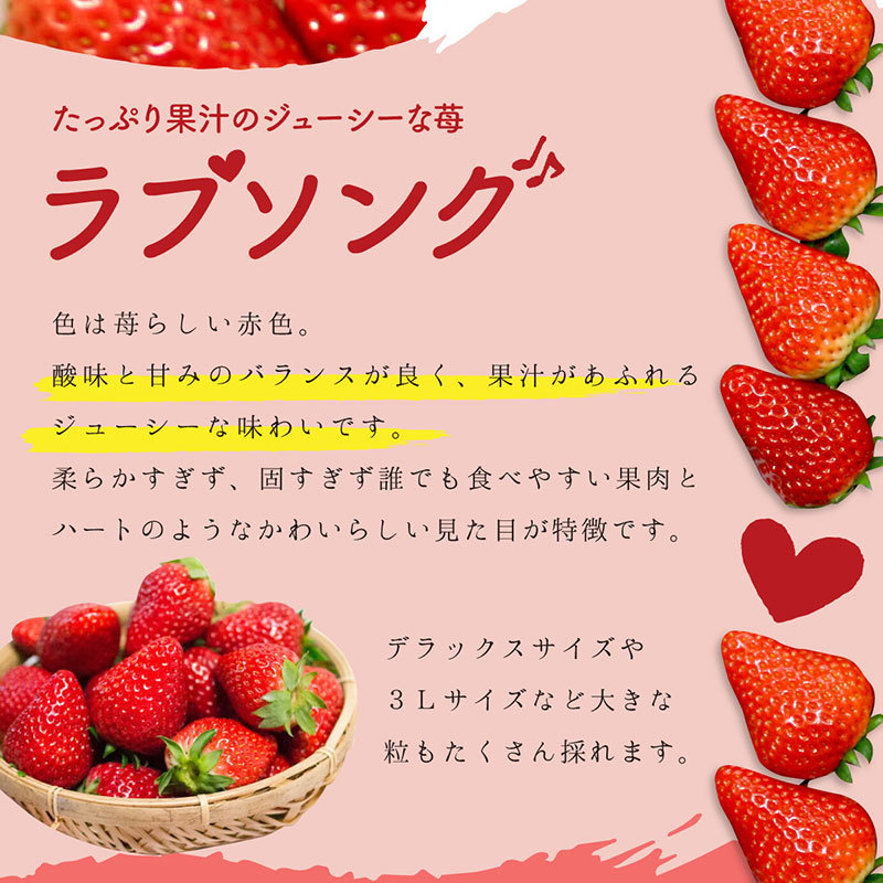 いちご イチゴ 苺 果物 ギフト 旬 フルーツ ラブソング 2Lサイズ×4