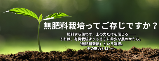 総合自然食品店ふきのとう - Yahoo!ショッピング