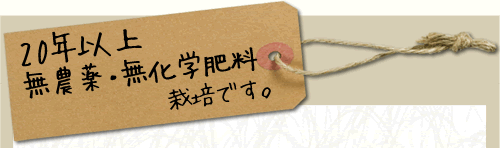 10年近く、無農薬・無化学肥料栽培です。