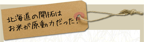 北海道の開拓はお米が下原動力だった！