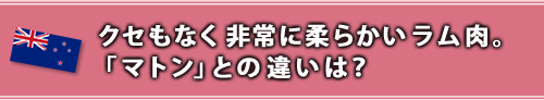 クセもなく非常に柔らかいラム肉。「マトン」との違いは？