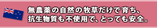 無農薬の自然の牧草だけで育ち、抗生物質も不使用で、とっても安全。