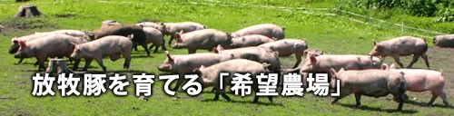 放牧豚を育てる「希望農場」