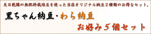 黒ちゃん納豆５個セット