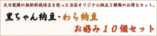 黒ちゃん納豆10個セット