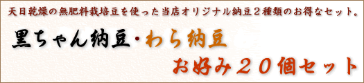 黒ちゃん納豆20個セット