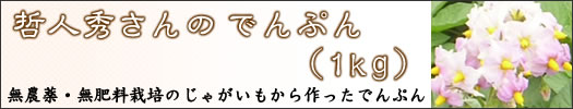 哲人秀さんのでんぷん（1kg）