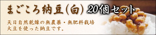 まごころ納豆（白）20個セット