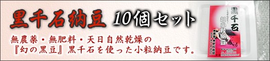 黒千石納豆10個セット