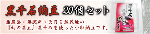 黒千石納豆20個セット