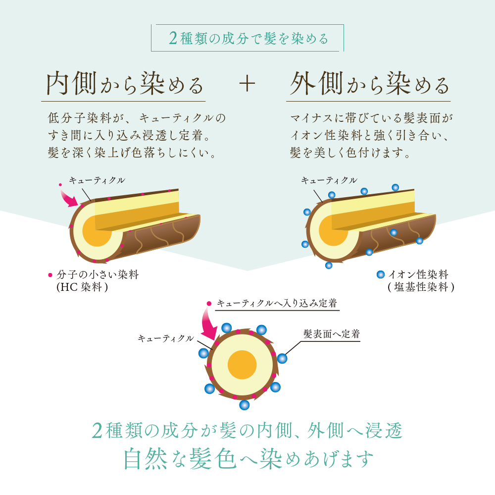 カラー オファー トリートメント 内側