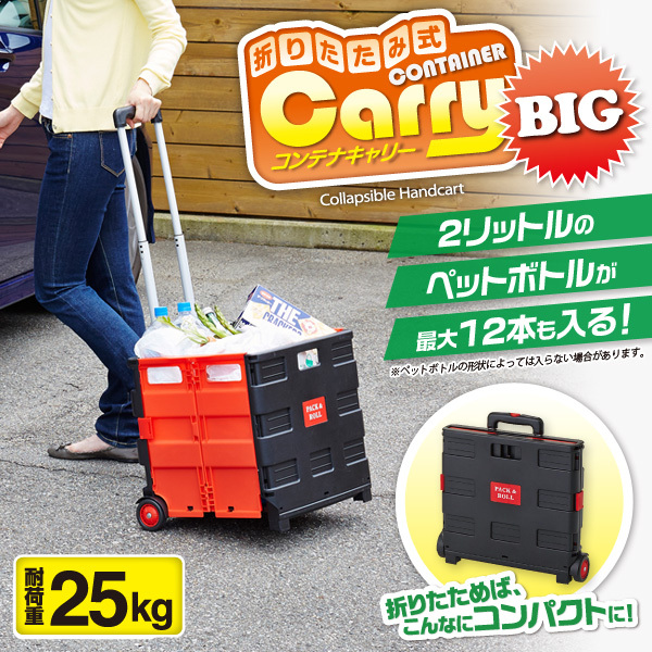 container-carry-big_01.jpg