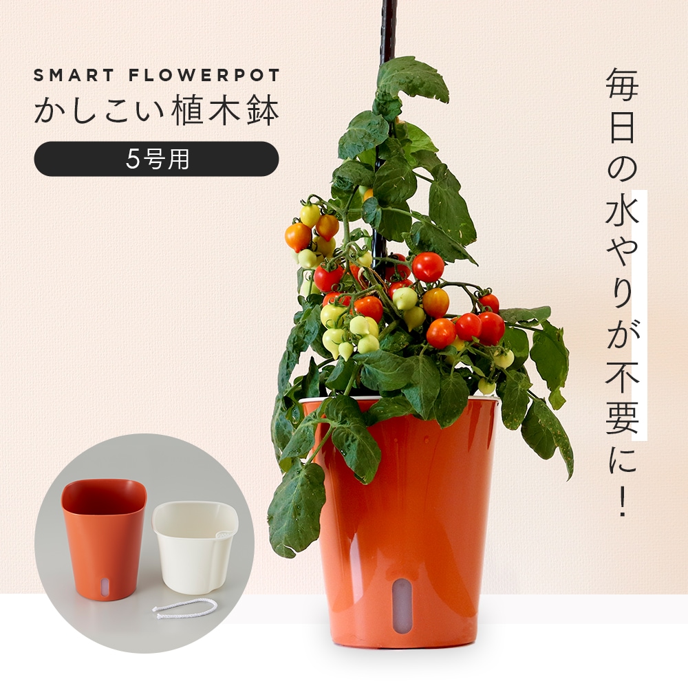 かしこい植木鉢 5号用 毎日の水やり不要 自動給水 水受け不要