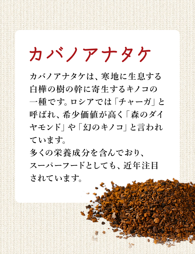カバノアナタケ茶80g(2g×40包）残留農薬検査済み 中国産 かばの