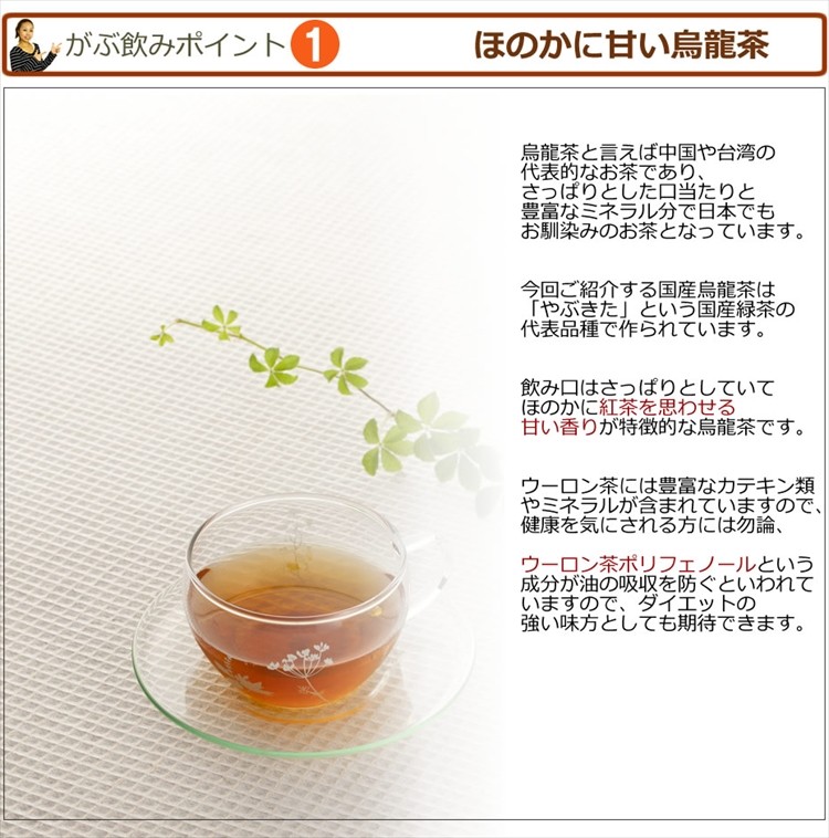 国産のダイエット茶ならふくちゃのがぶ飲み烏龍茶 ギガランキングｊｐ