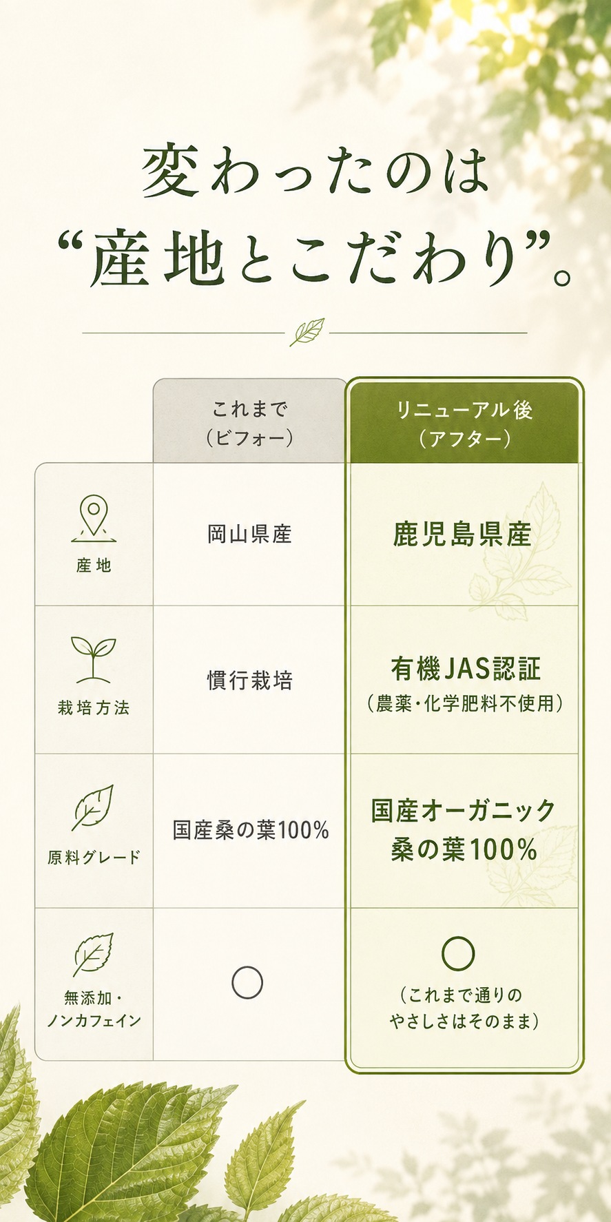 ふくちゃ オーガニック 桑の葉パウダー 国産 有機JAS 100g 桑の葉茶