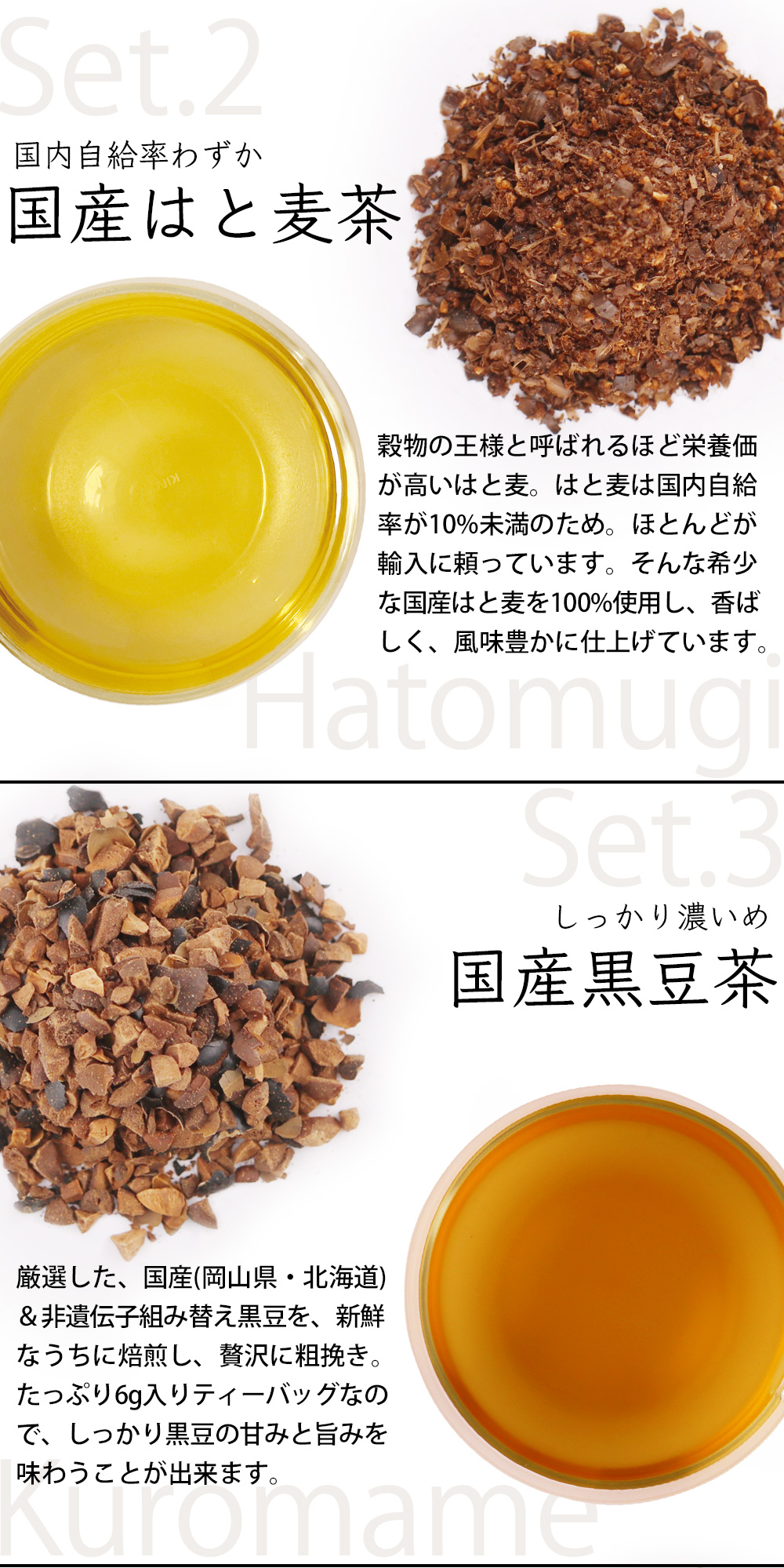 ふくちゃ 紅茶 ギフト お茶 お試し セット 送料無料 茶 健康茶
