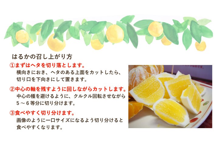 はるかの食べ方。種がありますので、種を避けるようにナイフで果実を回転させながらお切り下さい。