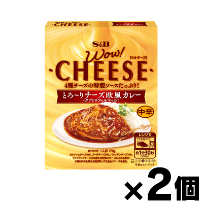 （メール便送料無料）エスビー食品　WOW!CHEESE　とろ〜りチーズ欧風カレー　中辛 170g×２個セット　｜fukuei