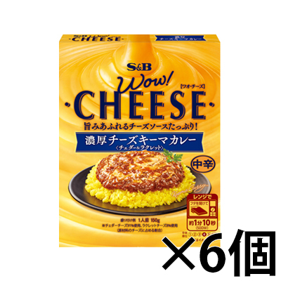 エスビー食品　WOW!CHEESE　濃厚チーズキーマカレー　中辛 150g×6個｜fukuei