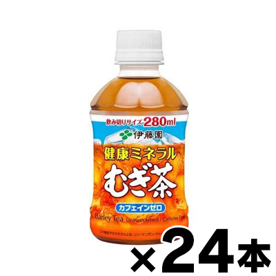 ɓ  N~l ނ 280ml×24{ (񂹕i)@