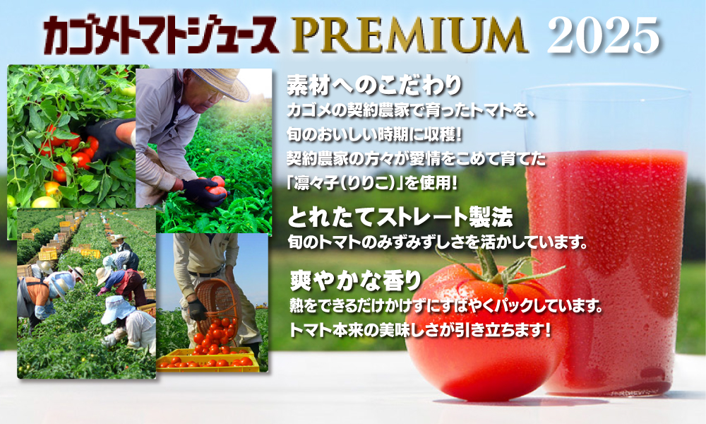 カゴメ トマトジュース （送料無料！）2025年産 カゴメトマトジュース