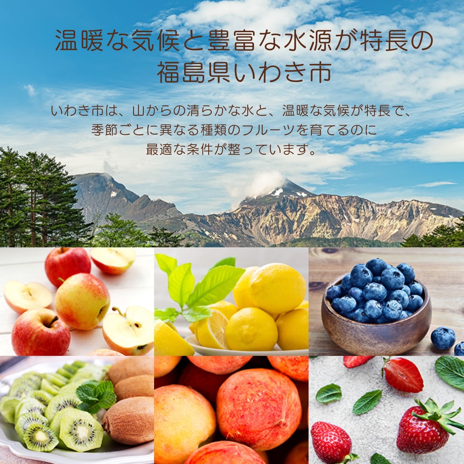 かき氷 スムージー 【 冷凍フルーツ いちご 】 1袋 1000g入 冷凍果実