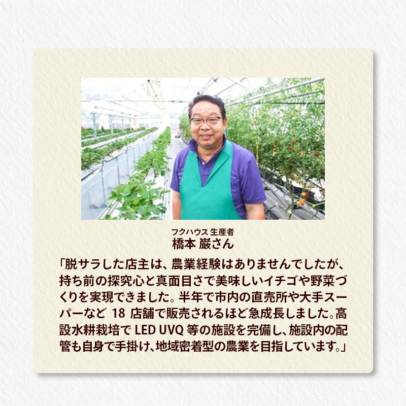 ガーリックオリーブオイル5本100ml