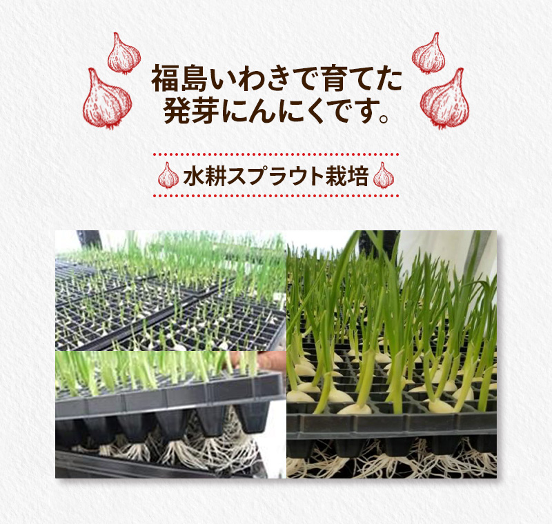 ガーリックチップ1袋60g1個