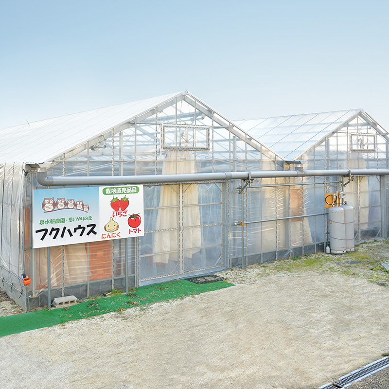 ガーリックオリーブオイル5本100ml