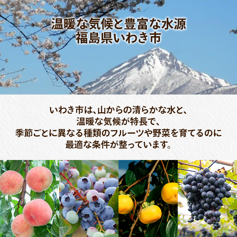 ガーリックオリーブオイル5本100ml