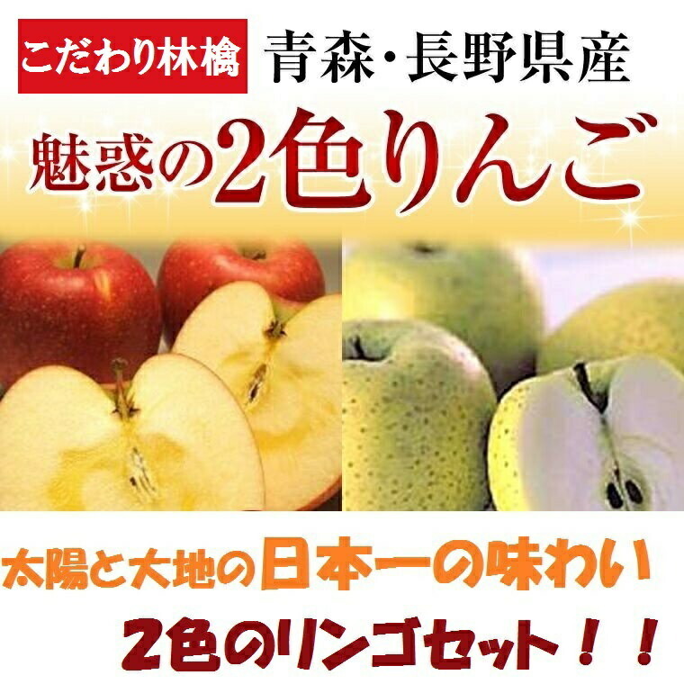 ２色りんご詰め合わせ 特秀大玉８玉化粧箱 青森・長野産リンゴ（サンフジ．秋映）等 赤色＆トキ・シナノゴールド・王林りんご等 黄色  :10000012-20:福井くいしんぼ市場ヤフー店 - 通販 - Yahoo!ショッピング