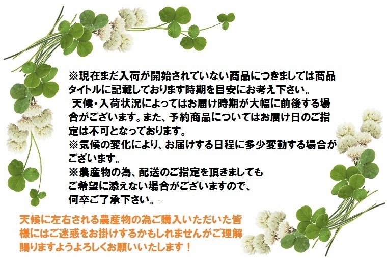 福井県ＪＡテラル越前里芋秀品約３Ｋ箱 越前の清らかな水と澄んだ自然に囲まれて育った里芋です【お歳暮・贈答用に】【おせち料理に】 :10000040-3k :福井くいしんぼ市場ヤフー店 - 通販 - Yahoo!ショッピング