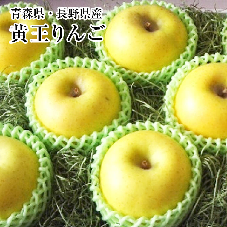 長野・青森産【黄王】きおう りんご 秀品 大8玉化粧箱 黄色りんご