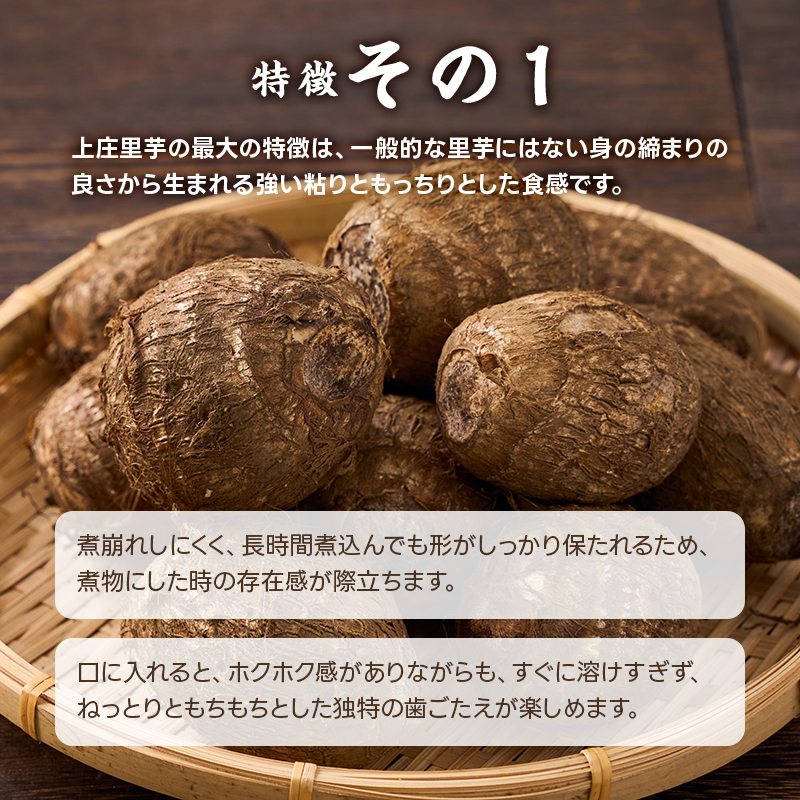 里芋種芋のおすすめ人気商品一覧 通販 - Yahoo!ショッピング