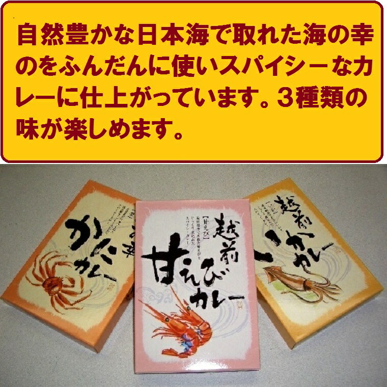 福井越前特選海鮮シーフードカレー ３種×２セット＝６袋入り箱 【越前