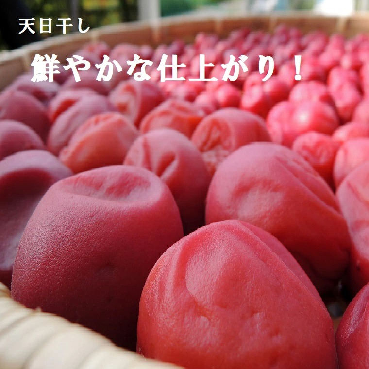 新平太夫梅 秀品 約3〜10kg 木成り完熟 梅 サイズ指定なし 福井県