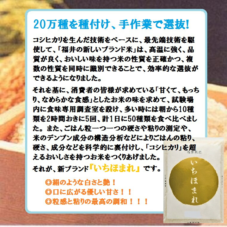 いちほまれ】2K袋 福井のお米特別栽培米 白米 新米 ブランド米