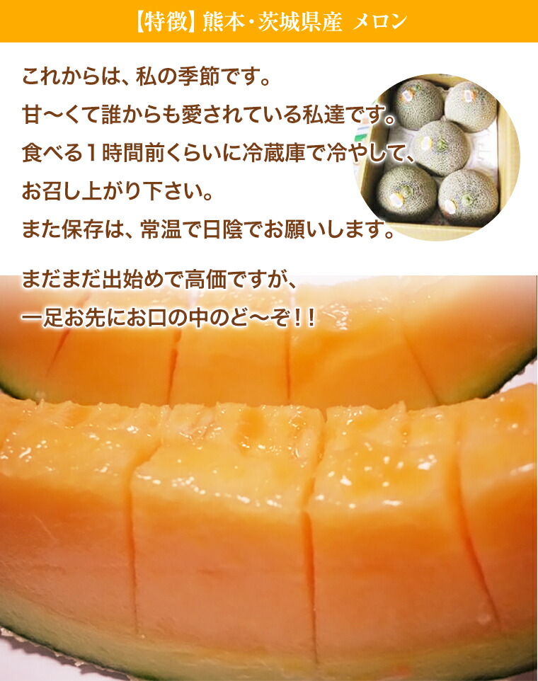 赤肉メロン Lサイズ以上 2玉化粧箱 熊本・茨城県産他厳選産地