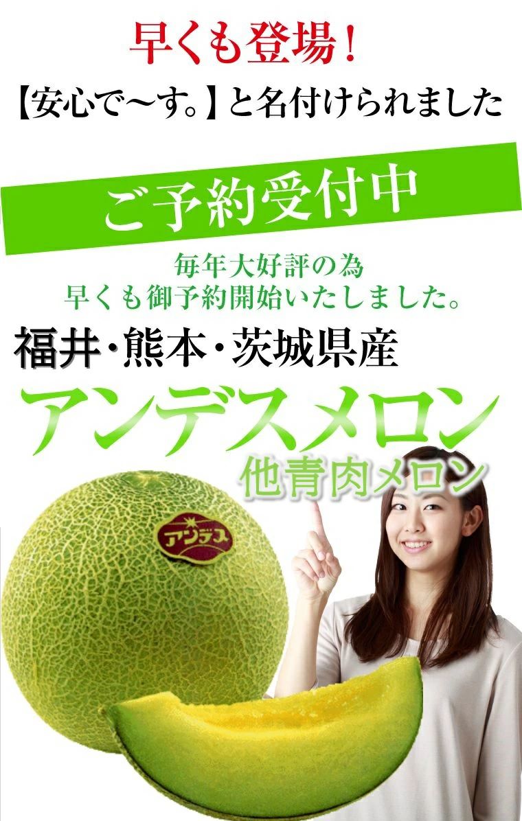 フル−ツギフト アンデスメロン他 青肉メロンLAサイズ以上1個