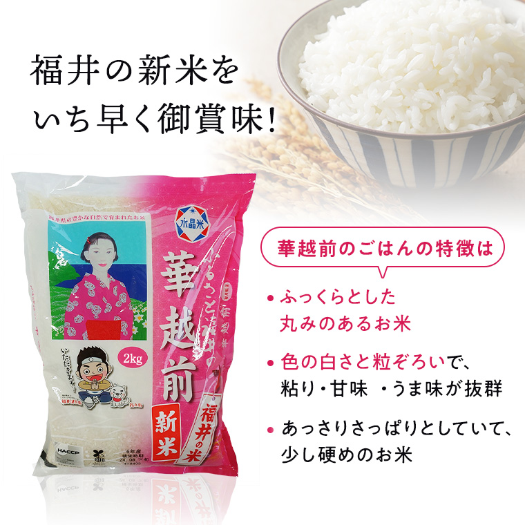 令和7年度産 精米【はなえちぜん】 5KG袋 【福井県米ブランド米】華